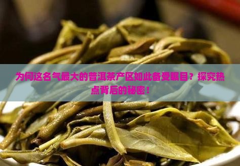 名气最大的普洱茶产区在哪里