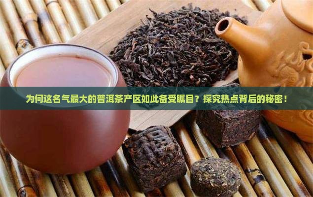 名气最大的普洱茶产区在哪里