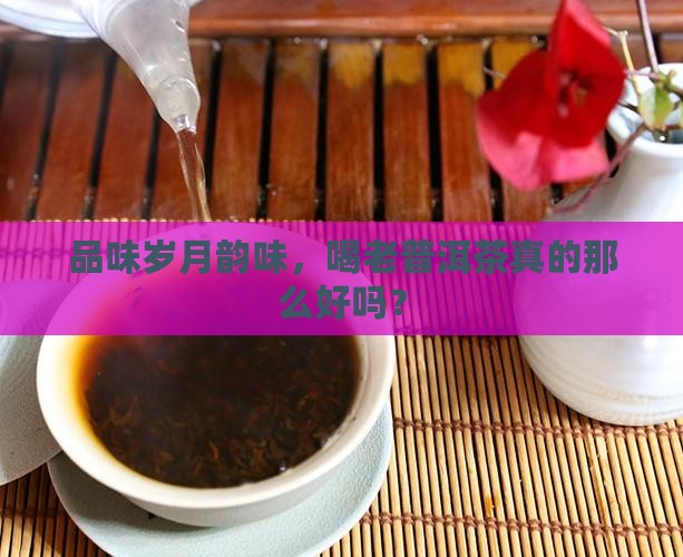 普洱茶喝老茶好吗