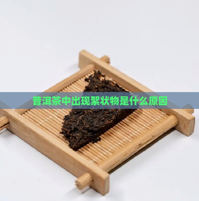 普洱茶有柳絮状