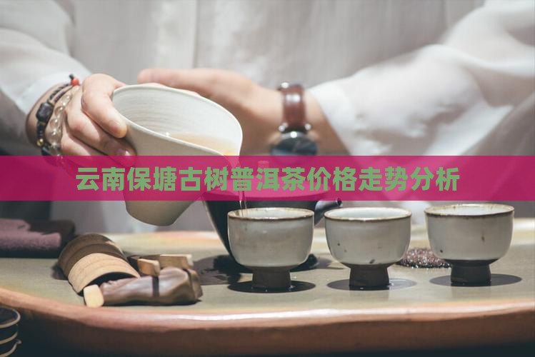 保塘古熟普洱茶价格
