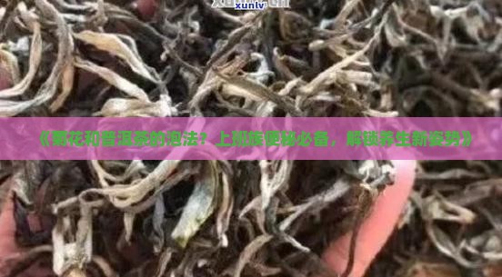 菊花和普洱茶的泡法
