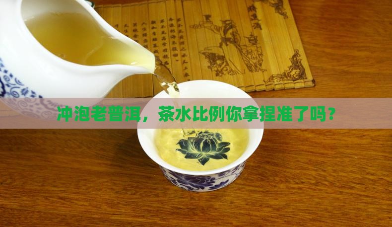 冲普洱茶老茶投茶比