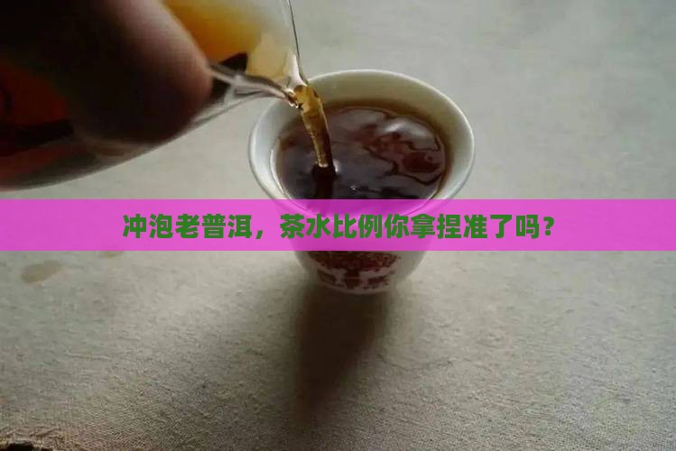 冲普洱茶老茶投茶比