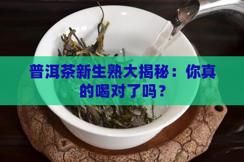 普洱茶的生熟怎么区别