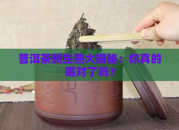 普洱茶的生熟怎么区别