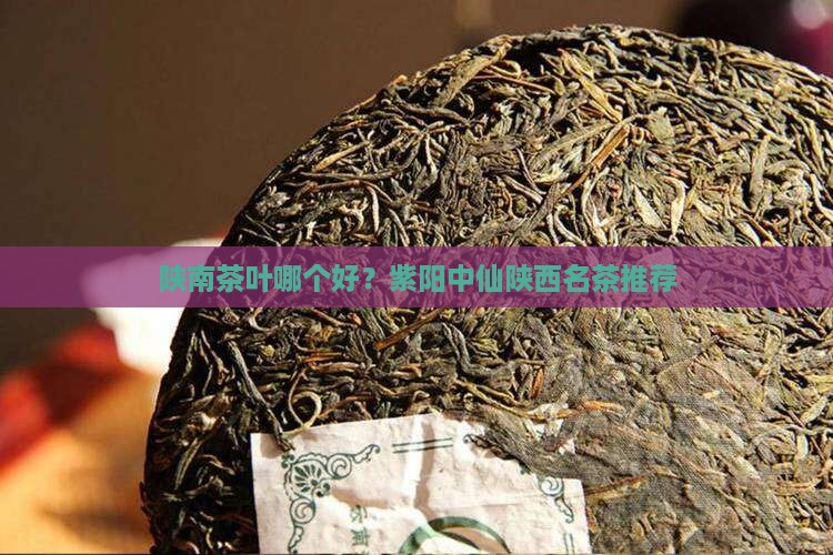 陕南的茶叶哪个好