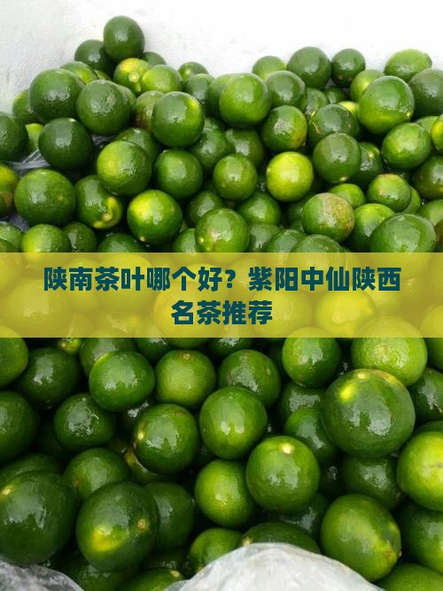陕南的茶叶哪个好