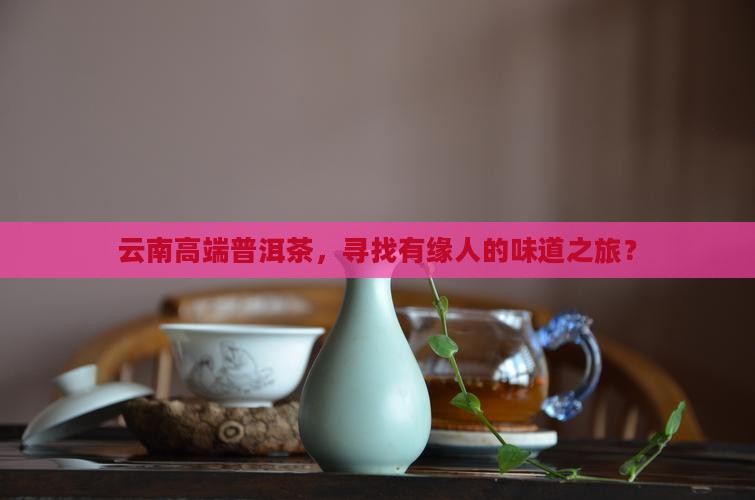 云南高端普洱茶招商