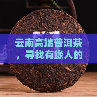 云南高端普洱茶招商