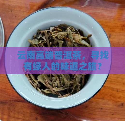 云南高端普洱茶招商