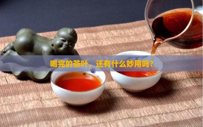 泡过的茶叶可以干什么