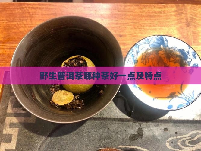 野生普洱茶哪种茶好
