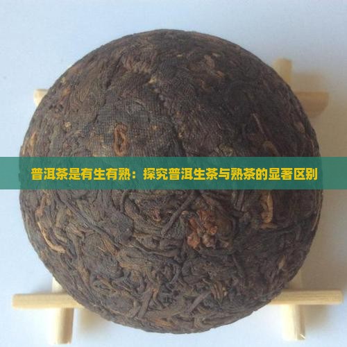 普洱茶都是有生有熟吗