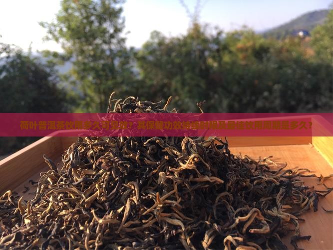 荷叶普洱茶能喝多久有效果