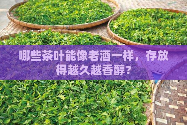 什么茶叶存放越久越好