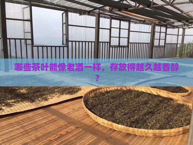 什么茶叶存放越久越好