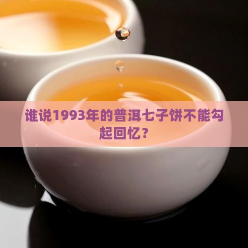 1993年普洱茶七子饼