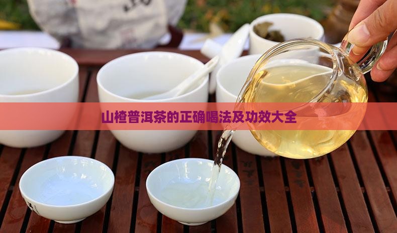 山楂普洱茶的正确喝法