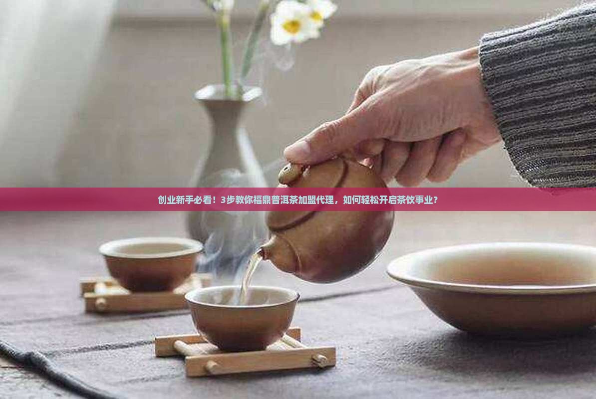 福鼎普洱茶加盟代理