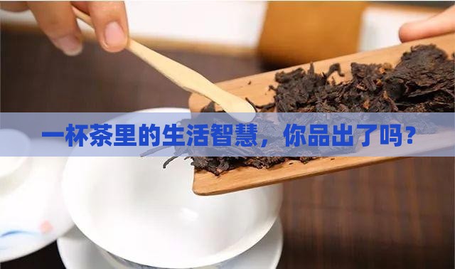 喝茶领悟出的人生哲理
