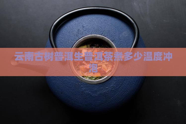 云南古树普洱生普洱煮茶温度