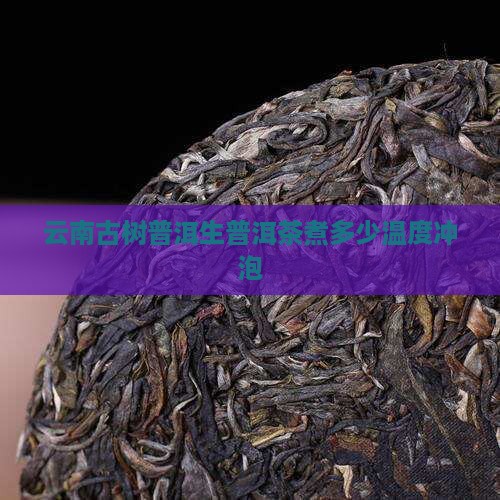 云南古树普洱生普洱煮茶温度