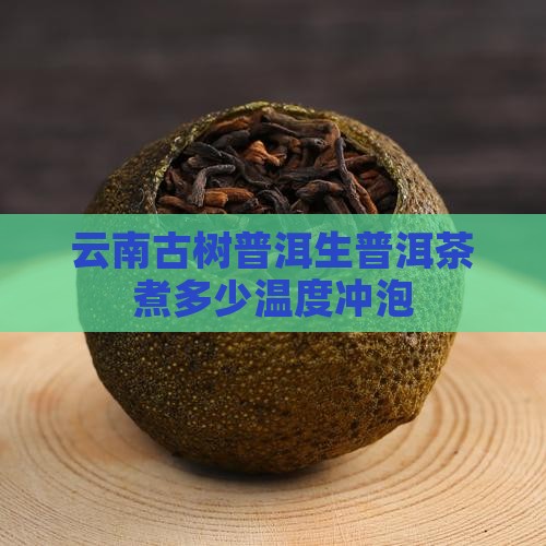 云南古树普洱生普洱煮茶温度
