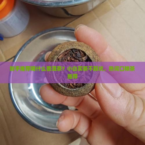 新手推荐喝什么普洱茶