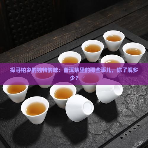 柏乡普洱茶种类