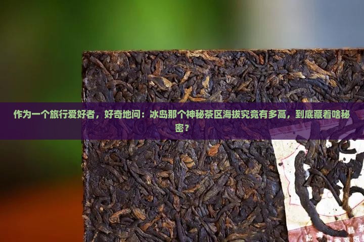 冰岛属于哪个茶区海拔多高