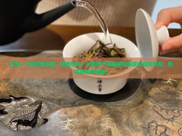 冰岛属于哪个茶区海拔多高