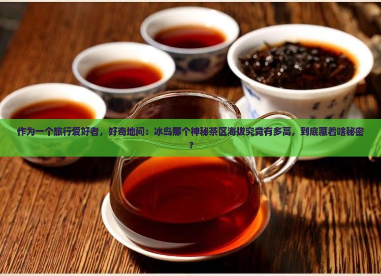 冰岛属于哪个茶区海拔多高