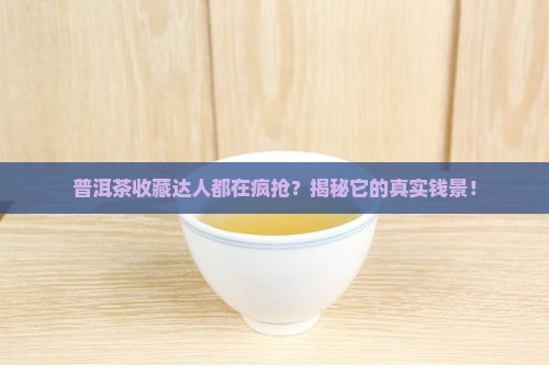 怎么看普洱茶值不值钱