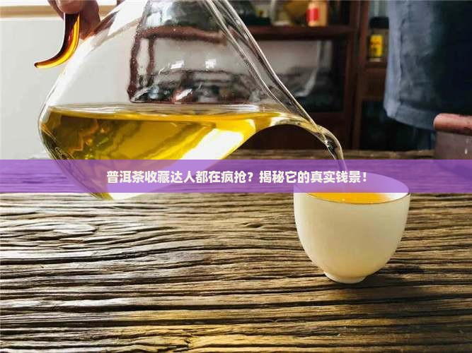 怎么看普洱茶值不值钱