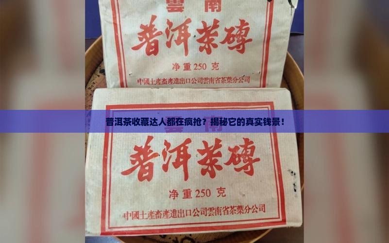 怎么看普洱茶值不值钱