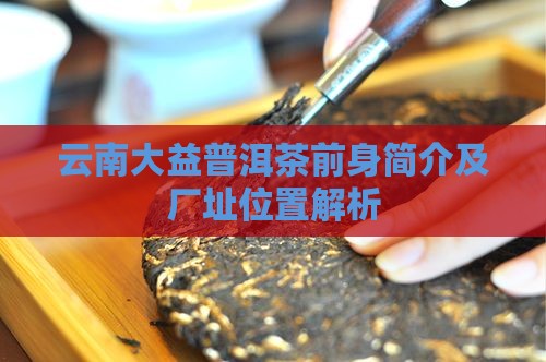 云南大益普洱茶前身