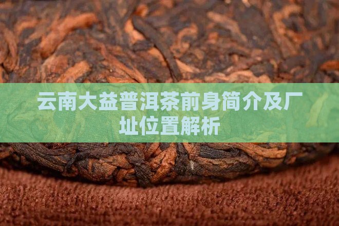 云南大益普洱茶前身