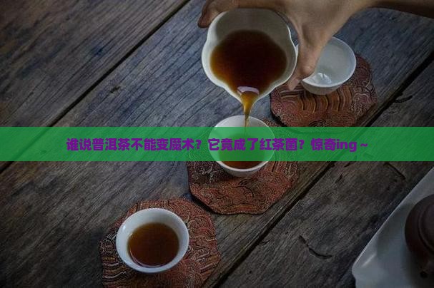 普洱茶做红茶菌