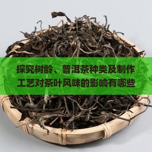 树龄和普洱茶区别
