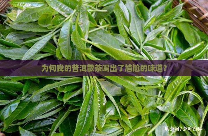 普洱茶散茶劣质味