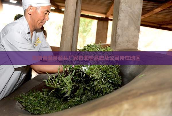 海南普洱茶源头厂家有哪些