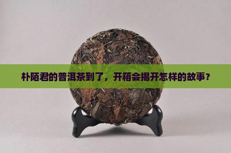朴陌君普洱茶开箱