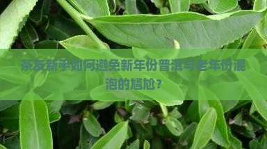 新年份普洱茶和老年份混泡