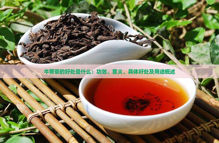 牛蒡茶的好处是什么
