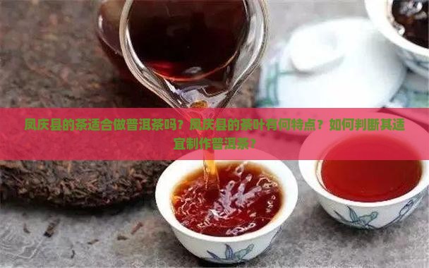 凤庆县的茶适合做普洱茶