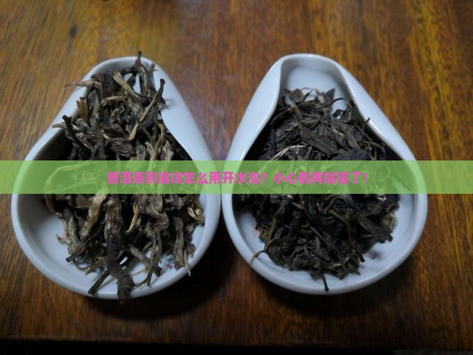 普洱茶如何用开水泡