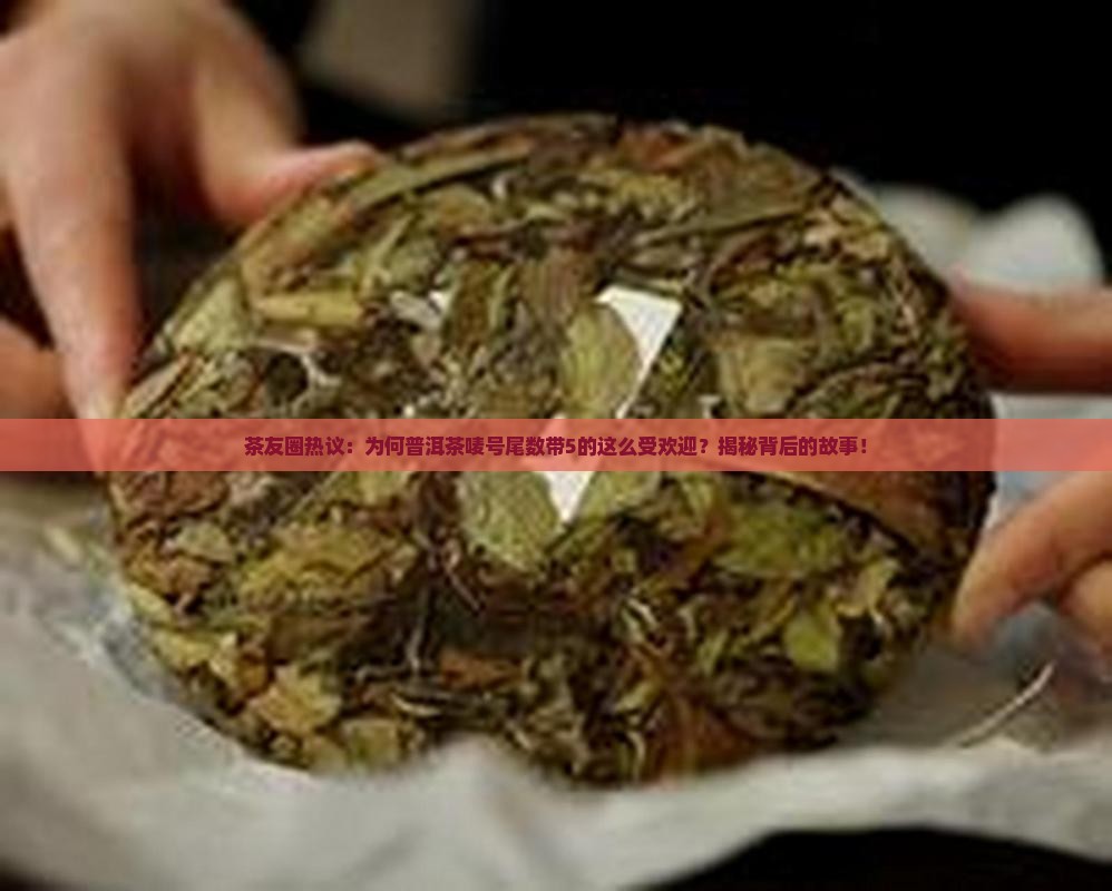 普洱茶唛号尾数五