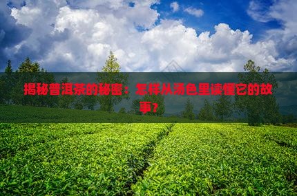 普洱茶汤色辨别