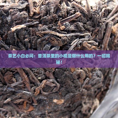 普洱茶中的小棍